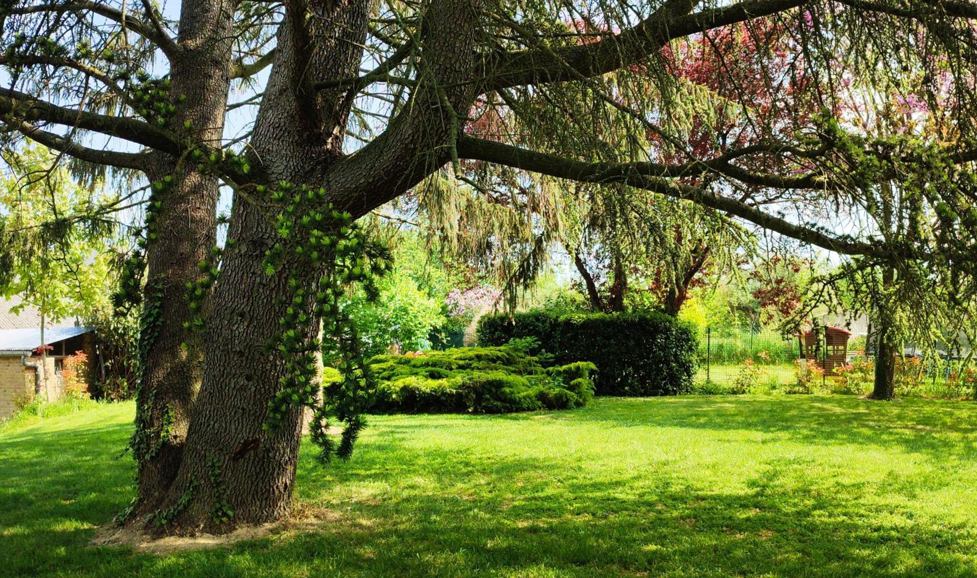 Hedoniste 1 Villa Herpy-l'Arlesienne ภายนอก รูปภาพ