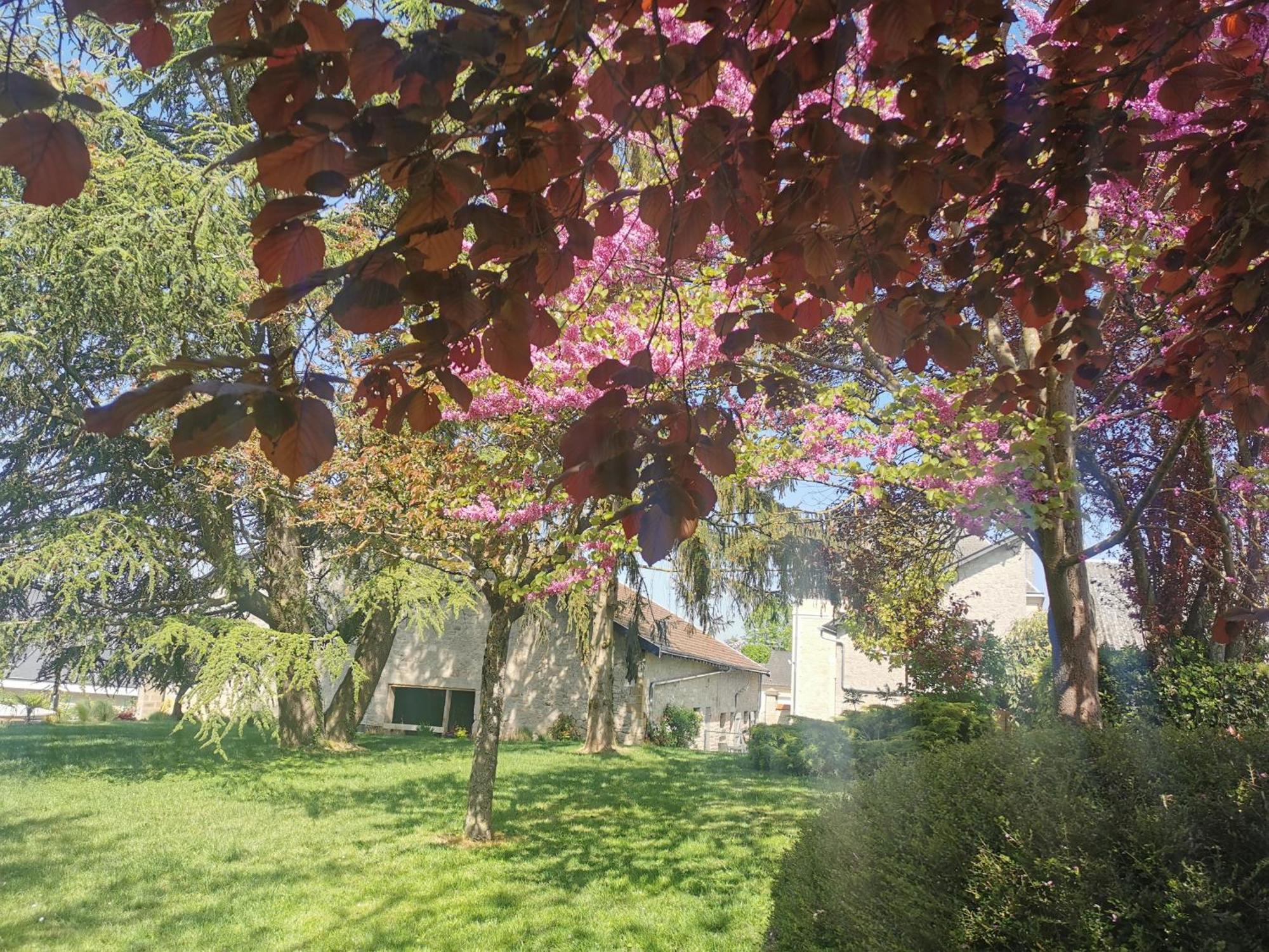 Hedoniste 1 Villa Herpy-l'Arlesienne ภายนอก รูปภาพ